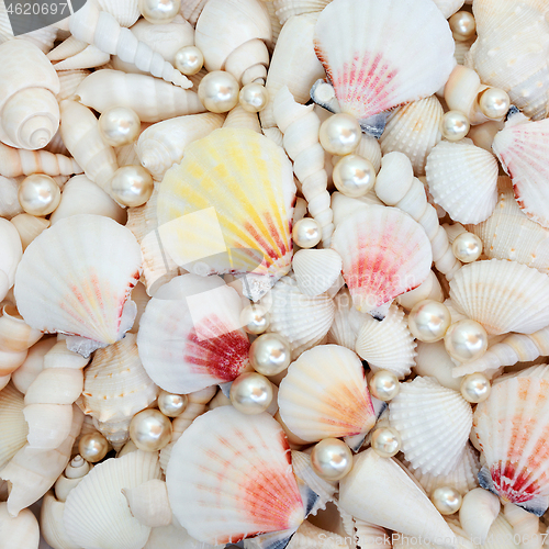 Image of Abstract Seashell and Pearl Background