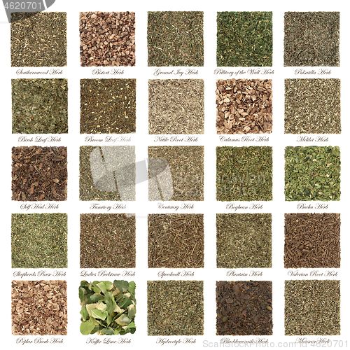 Image of Large Medicinal Herb Selection used in Alternative Herbal Medicine