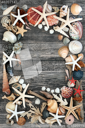 Image of Abstract Composition of  Natural Seaside Objects  