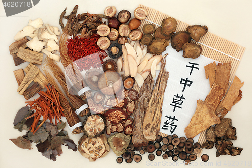 Image of Dried Herbs used in Chinese Herbal Medicine.