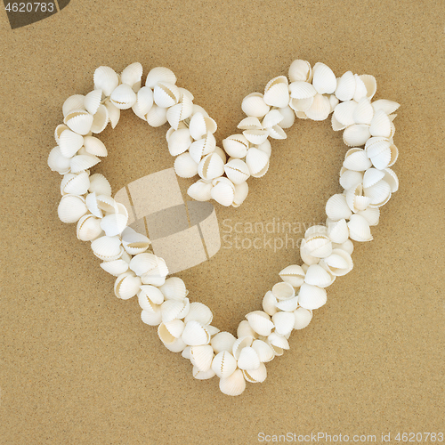 Image of Heart Shaped Cockle Shell Wreath