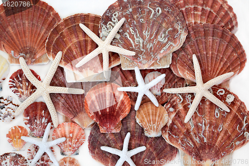 Image of Starfish and Scallop Seashell Abstract Background
