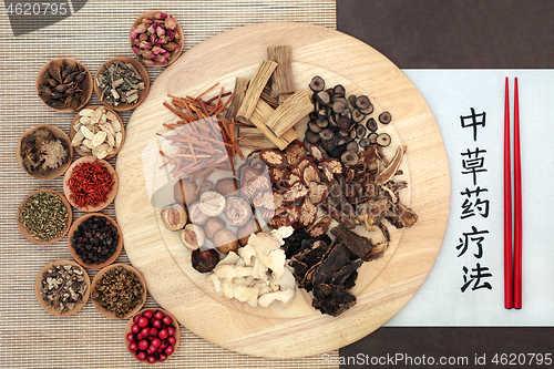 Image of Traditional Chinese Herbal Therapy