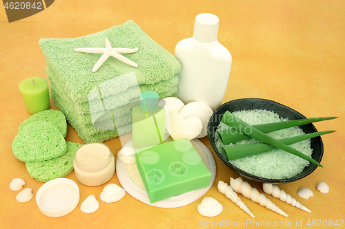 Image of Skincare Beauty Treatment with Aloe Vera