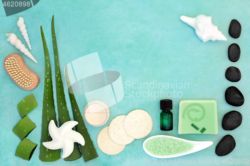 Image of Aloe Vera Spa Beauty Treatment