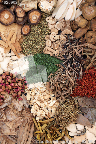 Image of Traditional Chinese Herbs