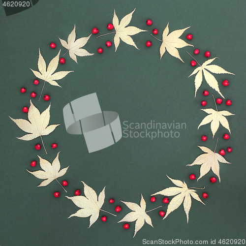 Image of Acer Leaf and Berry Wreath