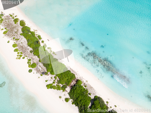 Image of Aerial drone view of picture perfect beach and turquoise lagoon on small tropical island on Maldives