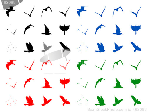 Image of Silhuettes of birds