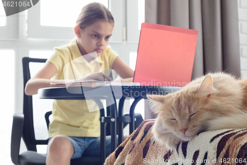 Image of In the foreground lies a cat, in the background a girl learns while sitting at a table