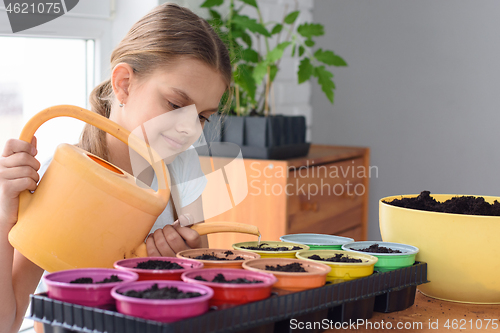 Image of A teenager plants plants in pots and pours them with water from a watering can