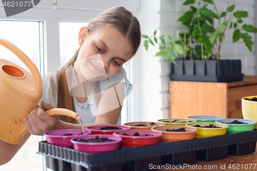 Image of The girl planted the seeds in pots and watered them with a watering can