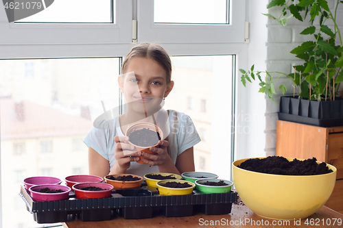 Image of Cheerful girl holding a pot of land for planting plants and looked into the frame