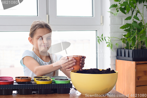 Image of A girl poured earth for planting seeds in a pot of earth