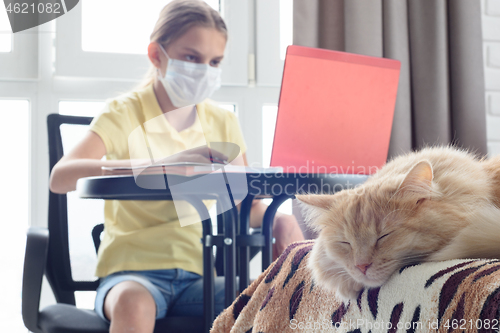 Image of On the bed lies a cat, in the background a girl does homework