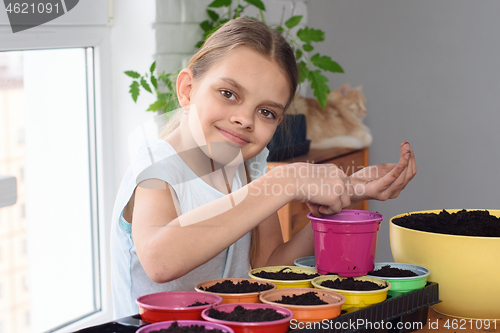 Image of Girl plants seeds in pots at home