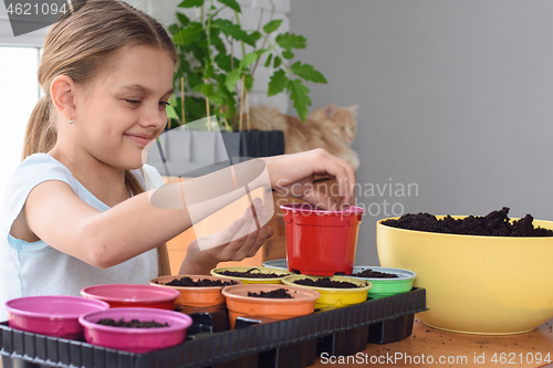 Image of Cheerful girl plants seeds in pots