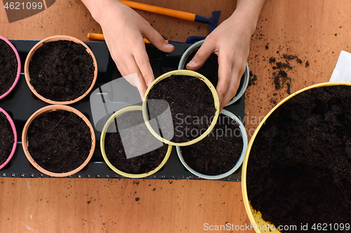 Image of Top view on pots with seedlings, children\'s hands took one of the pots background