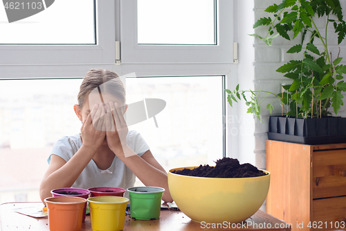 Image of Girl in self-isolation at home planting seeds in pots
