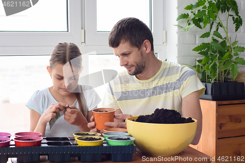 Image of Mom and daughter plant seedlings in flower pots