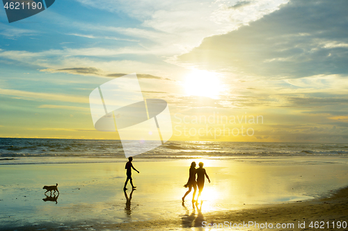 Image of People walking at ocean beach