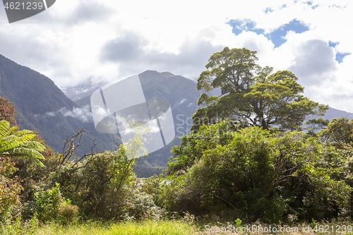 Image of Landscape scenery in south New Zealand