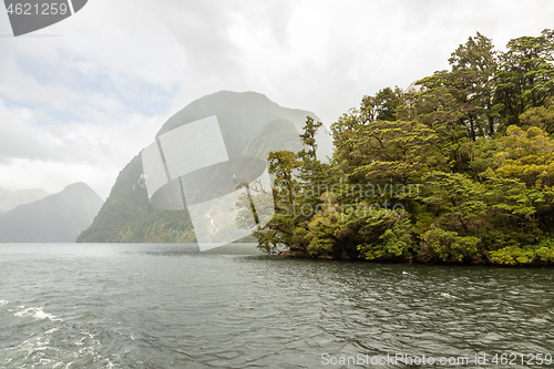 Image of Doubtful Sound Fiordland National Park New Zealand