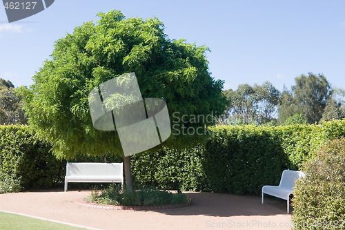 Image of Park Benches