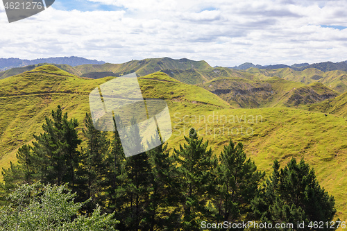 Image of typical rural landscape in New Zealand