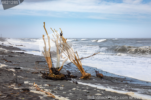 Image of jade beach Hokitika, New Zealand