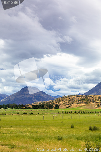 Image of Landscape scenery in south New Zealand