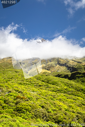 Image of volcano Taranaki covered in clouds, New Zealand 