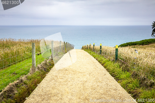 Image of Path to Tunnel Beach New Zealand