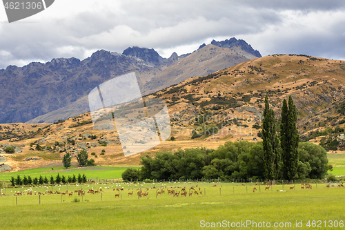 Image of Landscape scenery in south New Zealand