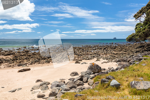 Image of hot springs beach New Zealand Coromandel