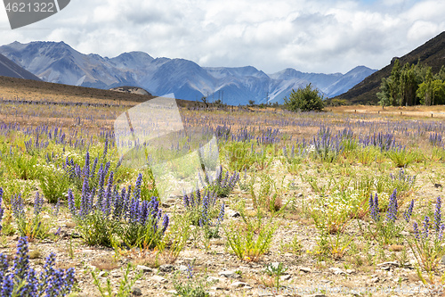 Image of Landscape scenery in south New Zealand