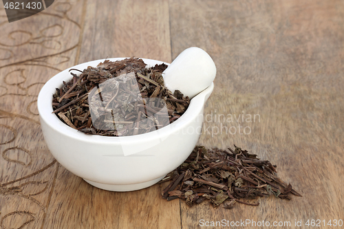 Image of Self Heal Herb