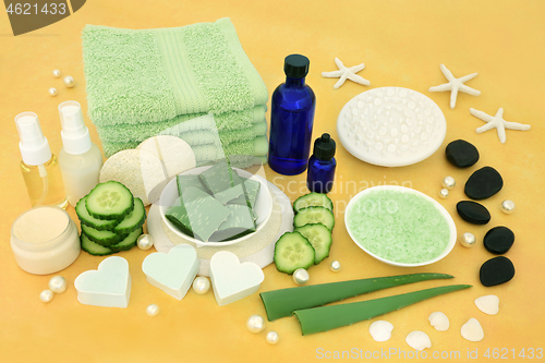 Image of Natural Spa Beauty Treatment Products