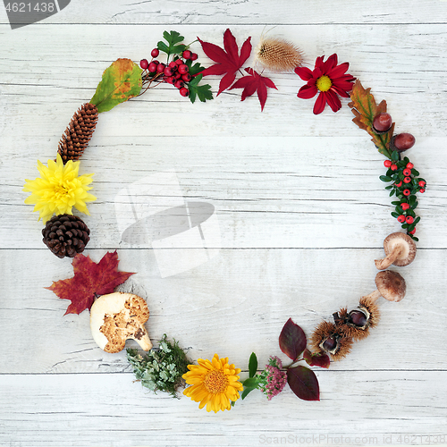 Image of Autumn Wreath Beauty