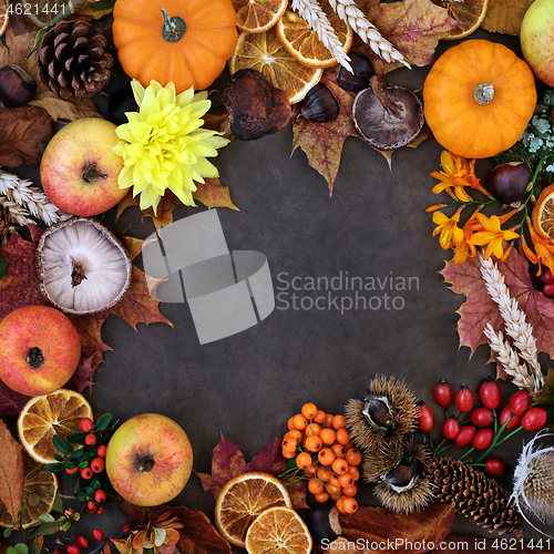 Image of Autumn Background Border