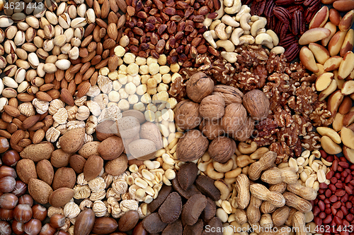 Image of Dried Nut Collection