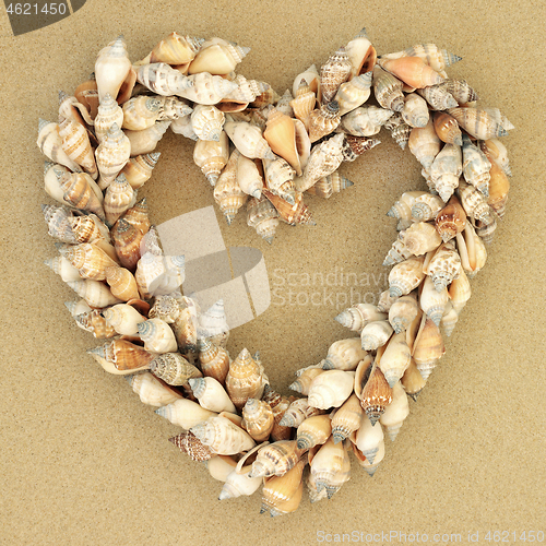 Image of Heart Shaped Shell Wreath