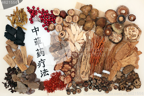 Image of Traditional Chinese Herbal Therapy