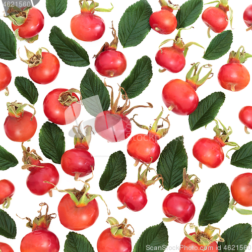 Image of Rosehip Berry Fruit Background
