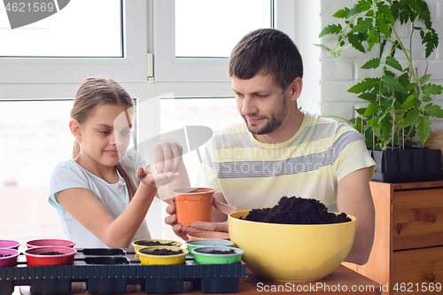 Image of Dad and daughter at home plant seeds in pots of earth