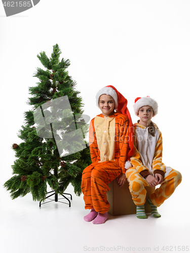 Image of Two girls sitting on a box with toys near an artificial Christmas tree