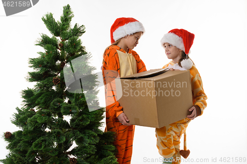 Image of Girls at the Christmas tree hold boxes with New Year\'s toys.
