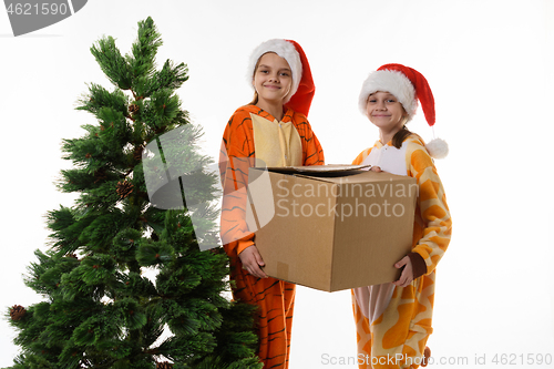 Image of The girls at the Christmas tree are holding boxes of New Year\'s toys and looked into the frame.