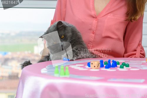 Image of Home cat decided to play chips from a board game