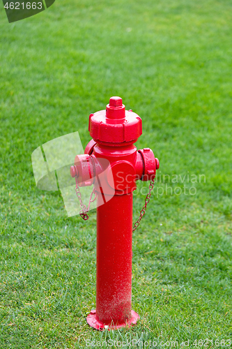 Image of Fire Hydrant Lawn